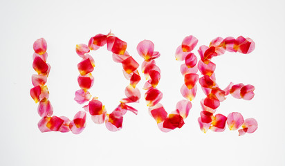 Flower Alphabet: Love word of rose petals, isolated on white