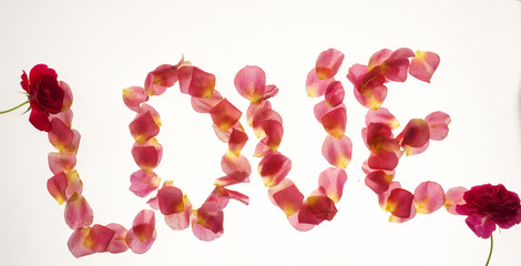 Flower Alphabet: Love word of rose petals, isolated on white