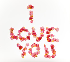 Flower Alphabet: rose petals set in word I love you, isolated on white