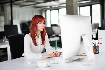 Businesswoman with computer in her office at the desk, working.