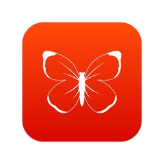 Butterfly icon digital red