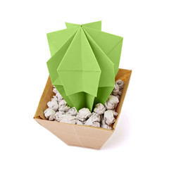 Origami succulent cactus indoors flower