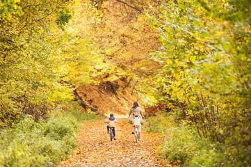 Mother with little sons cycling in autumn park.