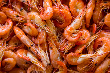 Close-up of boiled shrimps for background