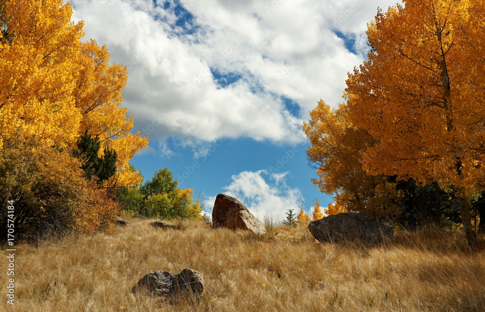 Wall mural Fall in the Colorado Rocky Mountains