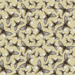 Watercolor drawing seamless background of fluffy butterfly bear, night butterfly, brown color, wings light with spots on a colored background for decoration, print