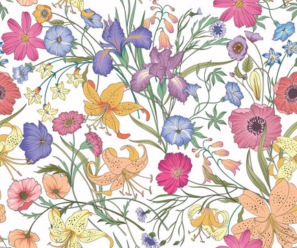 Beautiful seamless floral pattern . Flower vector illustration. Field of flowers
