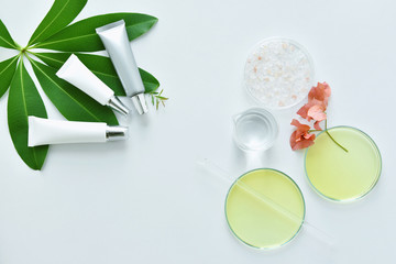 Cosmetic bottle containers with skin care raw materials, Blank l