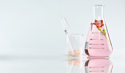 Natural organic extraction and green herbal leaves, Flower aroma essence solution in laboratory.