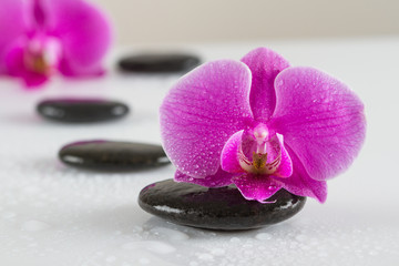 Obraz na płótnie Canvas Zen stones and orchid blossom