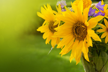 A bouquet of yellow sunflowers .