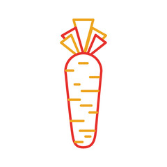carrot vegetable fresh supermarket food design vector illustration