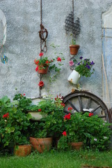 Cottage Beauty, Poland