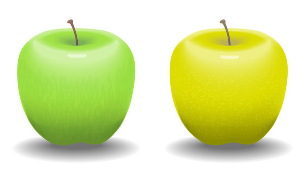 Two ripe apples.