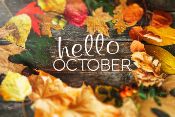 Hello October card, Fall composition from leaf. vintage forest filter 