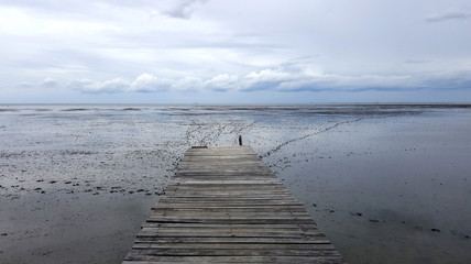 Rustic timber jetty with wetlands and ocean background