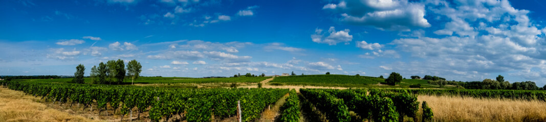 Panorama Sauternes