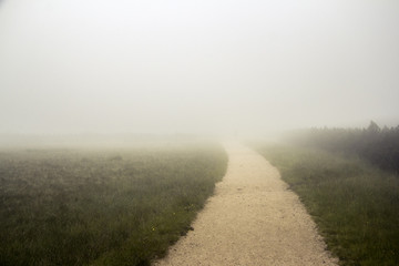 foggy path