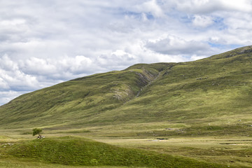 A lone tree among the barren landscape near the Battle of Glen Shiel historical site in Scotland.