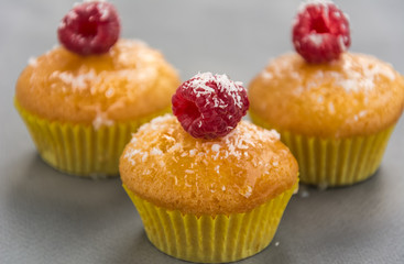 Tasty cupcakes on grey background