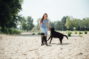beautiful girl is playing with brown labradors