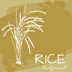 vector background with rice logo, hand-drawn plants
