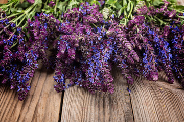 Sage plant on a rustic wooden background
