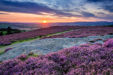 Naklejka na ściany i meble Sunset over Cheviot Hills and Rothbury Heather, on the terraces which walk offers views over the Coquet Valley to the Simonside and Cheviot Hills, heather covers the hillside in summer