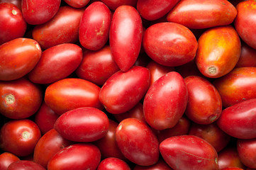 organic farm tomatoes crop background  top view