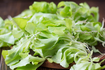 Green salad leaves