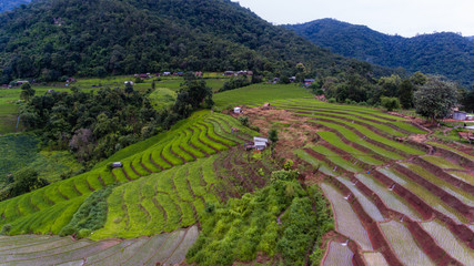 Fototapeta na wymiar Aerial view of Rice fields on terraced of Mae Cham,Chiang Mai, Thailand. Thailand landscapes.