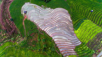 Aerial view of Rice fields on terraced of Mae Cham,Chiang Mai, Thailand. Thailand landscapes.