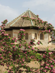 Fototapeta na wymiar Colored roof, Alhambra
