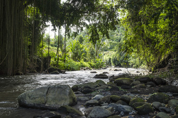Stones at the river with jungle in Ubud, Bali, Indonesia