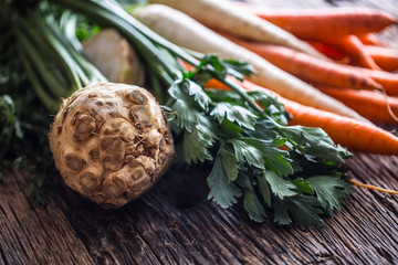 Vegetable. Fresh root vegetable celery carrot and parsnip on rustic oak table
