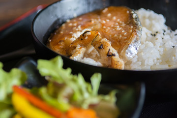 Japanese Grilled Salmon in Soya Sauce Served with Rice