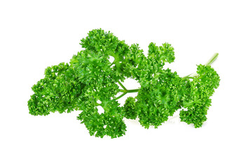 Obraz premium parsley isolated on a white background