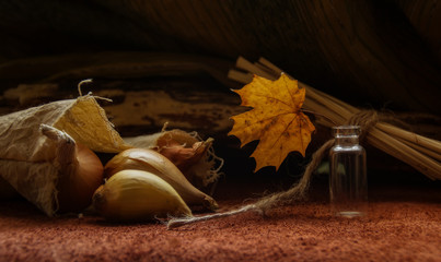 Autumn still life with onions and maple leaves in a rustic style. Selective focus.