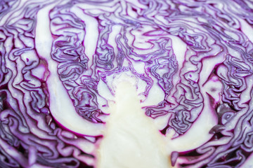 Obraz premium Rotkohl oder Blaukraut im Detail mit Schnitt Fläche