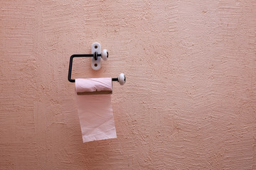 Empty toilet paper rolt