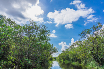 Fototapeta na wymiar Everglades Park
