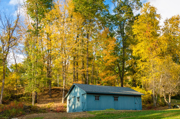 Wooden Shed in a Autumn Forest at Sunset