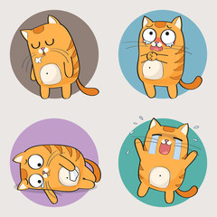 Cute cat character. Set of cute cartoon cat in various poses