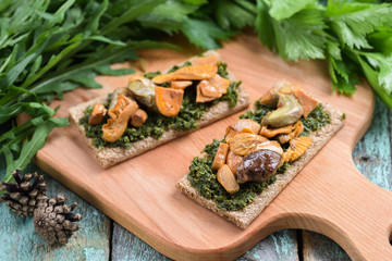 Vegan snack of porchini and chanterelle forest mushrooms on rye crackers with green sauce served...