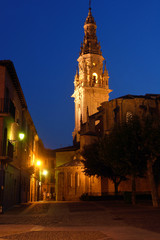 Fototapeta na wymiar night at the Cathedral of Santo Domingo de la Calzada, ST.James way, La Rioja, Spain