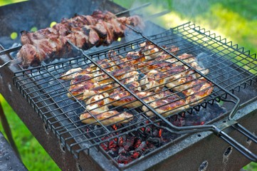 Chicken wings and beef skewers frying on a barbecue grill. Smoke coming from the coal, green lawn in the background. 