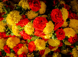 Close up of a yellow and red flowers at KR Market in Bangalore. in Bangalore