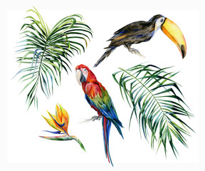 Obraz premium Watercolor illustration of tropical leaves, dense jungle. Toucan bird and scarlet macaw parrot.Strelitzia reginae flower. Hand painted. Banner with tropic summertime motif. Coconut palm leaves.
