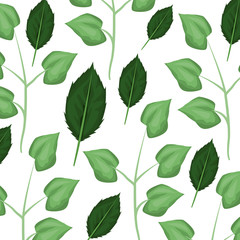 Green Leaves background icon vector illustration graphic design