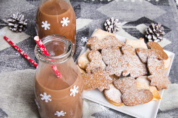 Christmas hot chocolate, sweet cookies  and colorful decorations